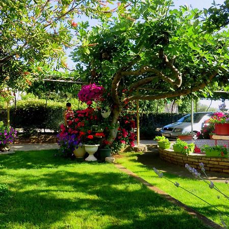 Beach Apartments Roza - The Garden Apartment ビオグラード・ナ・モル エクステリア 写真