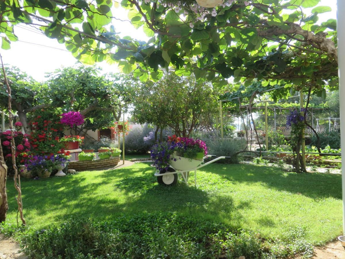 Beach Apartments Roza - The Garden Apartment ビオグラード・ナ・モル エクステリア 写真