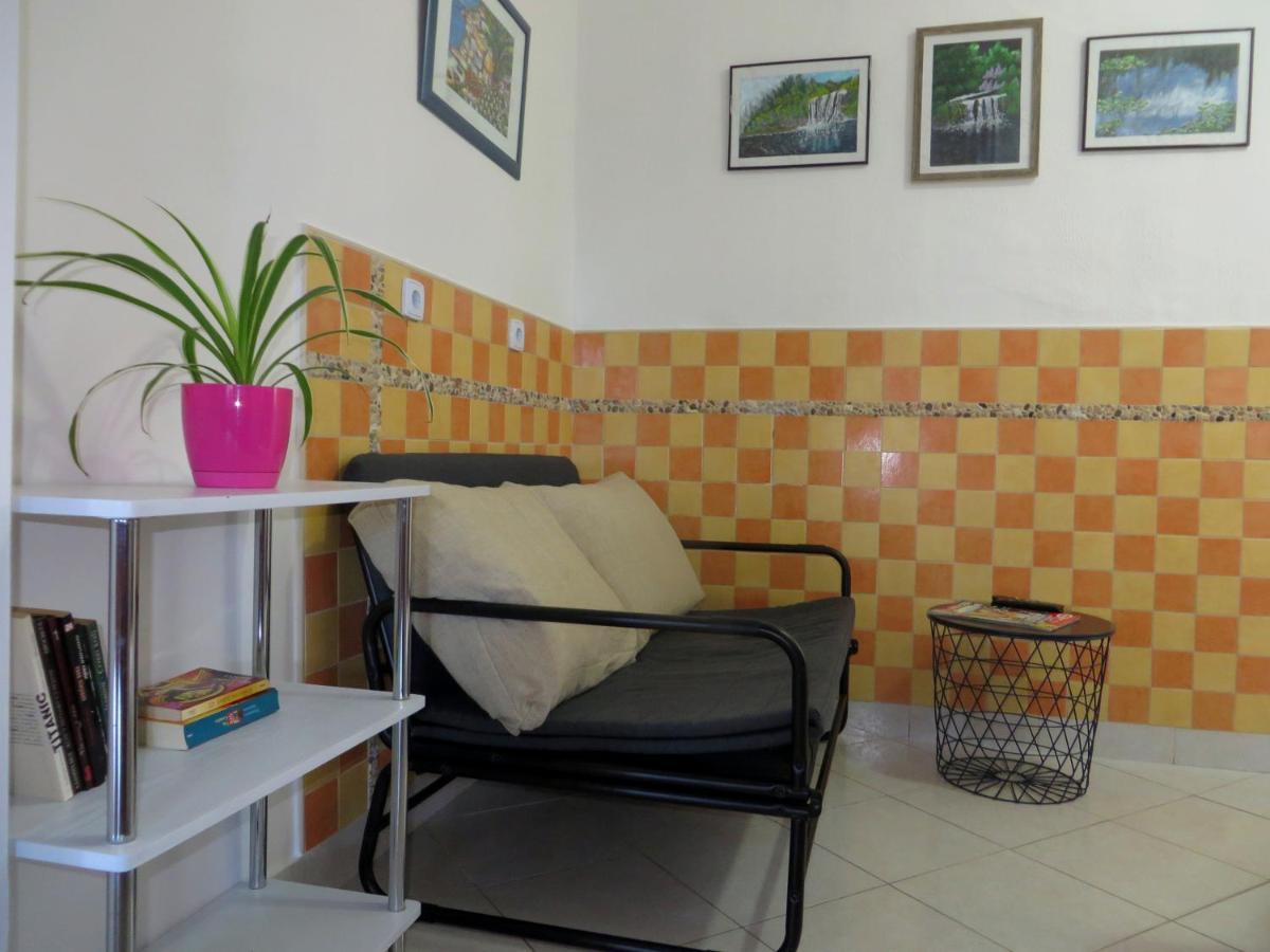 Beach Apartments Roza - The Garden Apartment ビオグラード・ナ・モル エクステリア 写真