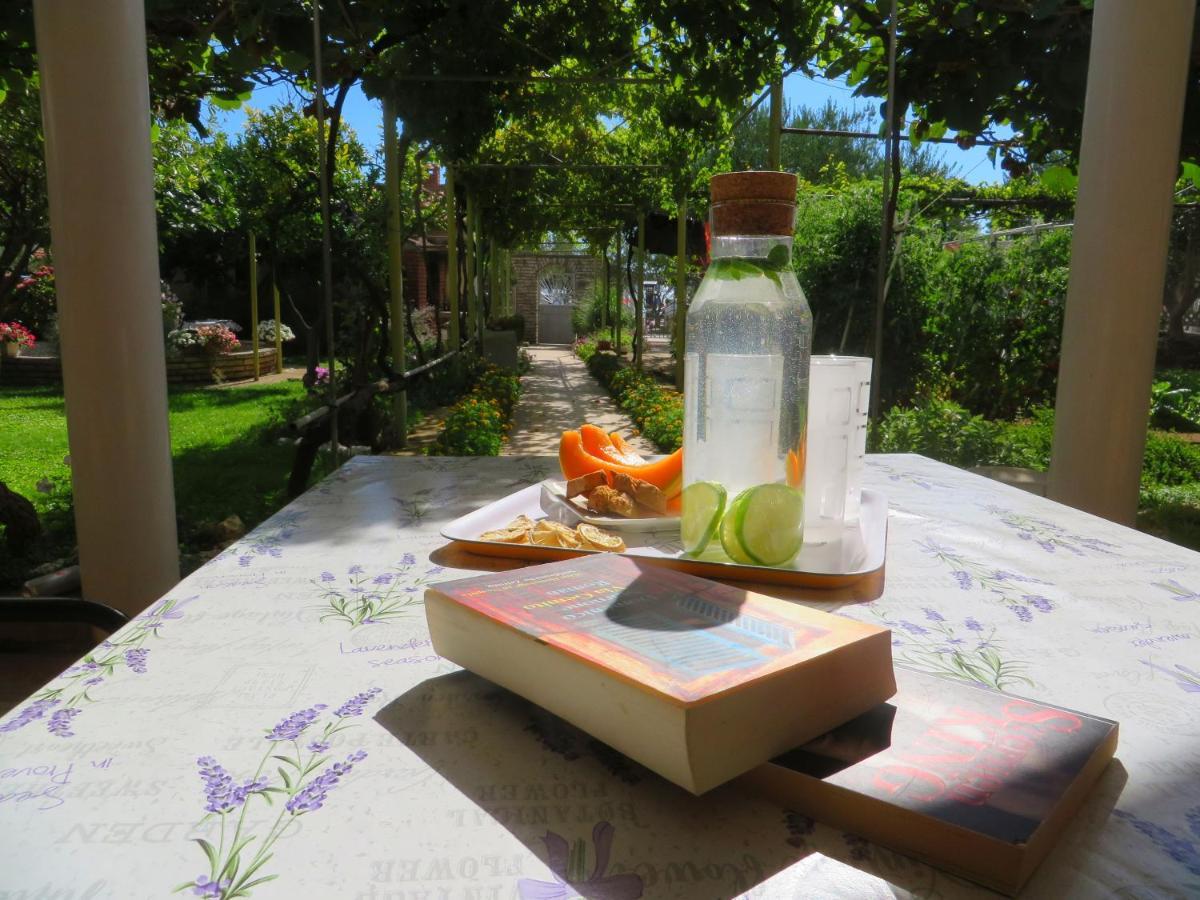 Beach Apartments Roza - The Garden Apartment ビオグラード・ナ・モル エクステリア 写真