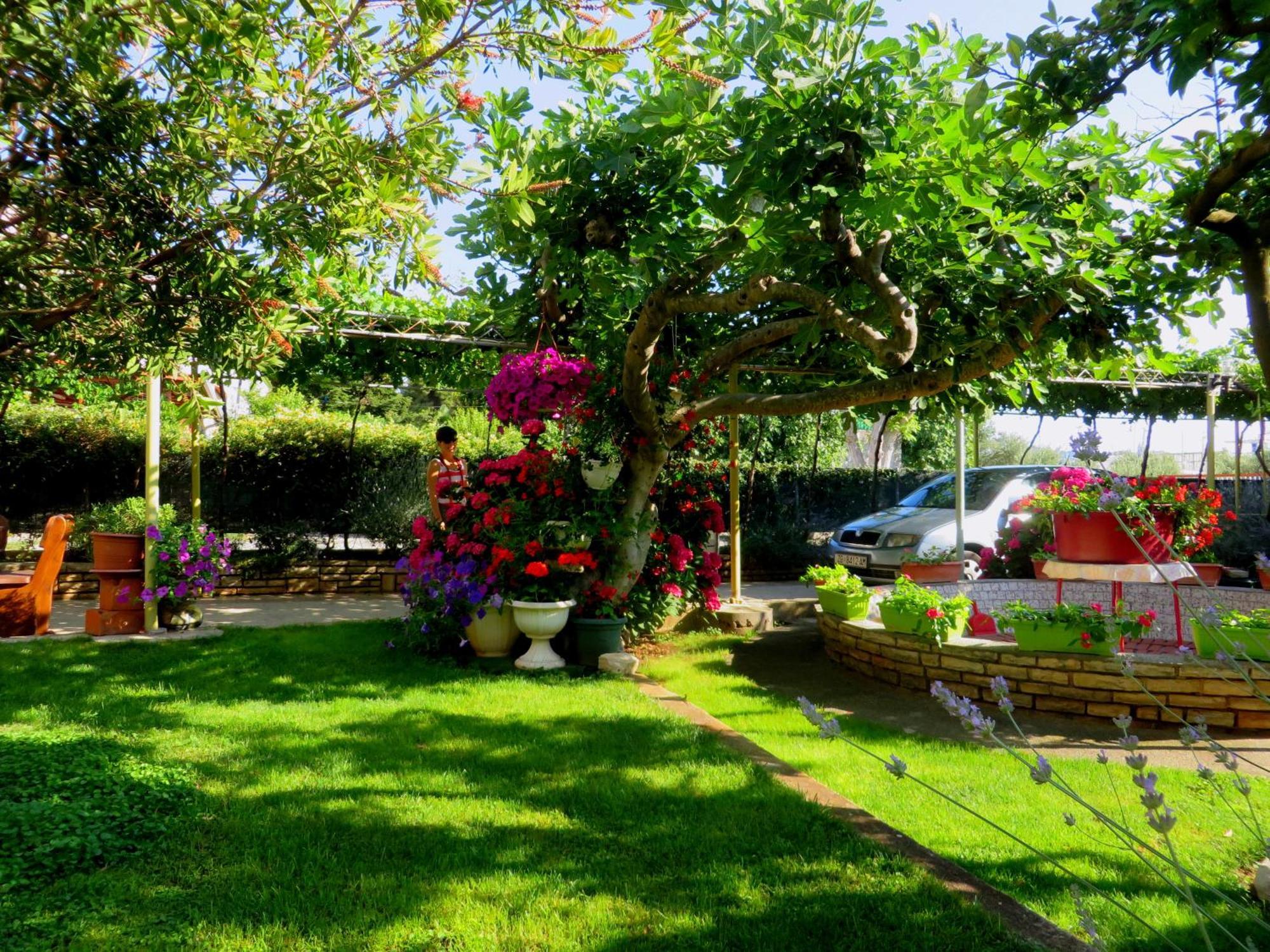 Beach Apartments Roza - The Garden Apartment ビオグラード・ナ・モル エクステリア 写真