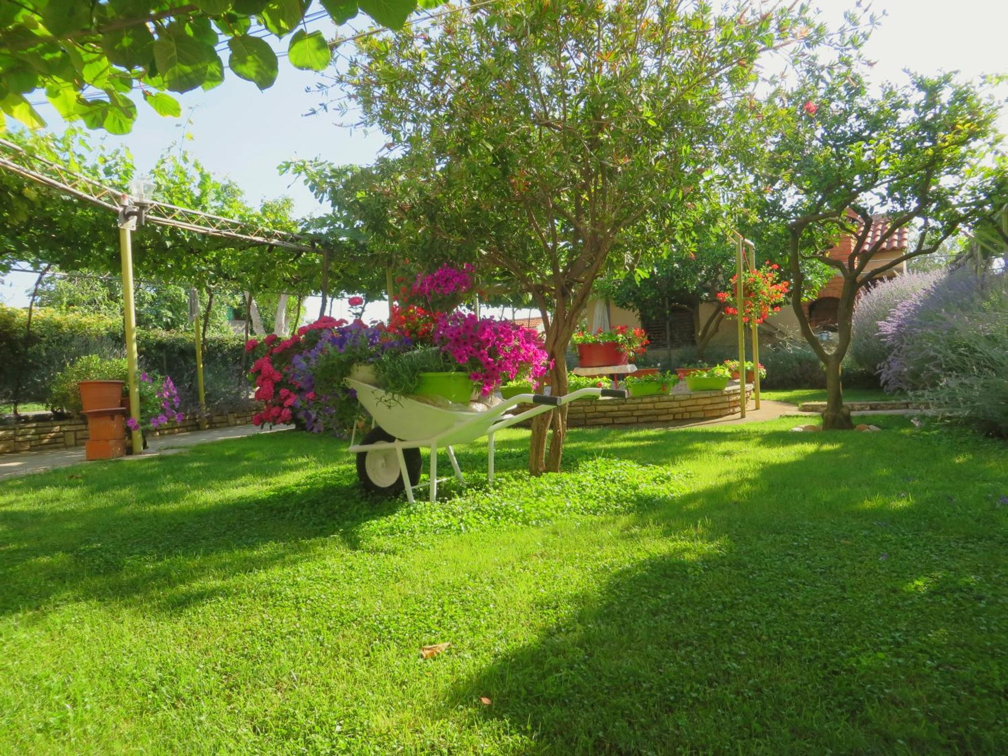 Beach Apartments Roza - The Garden Apartment ビオグラード・ナ・モル エクステリア 写真